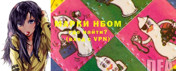индика Аркадак