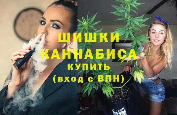 индика Аркадак