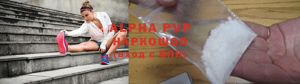 индика Аркадак