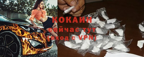 шишки Сосновка