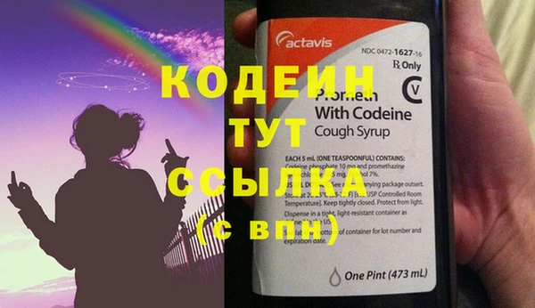 индика Аркадак