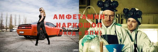 индика Аркадак