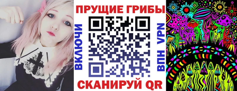 Псилоцибиновые грибы Psilocybe  Кумертау 